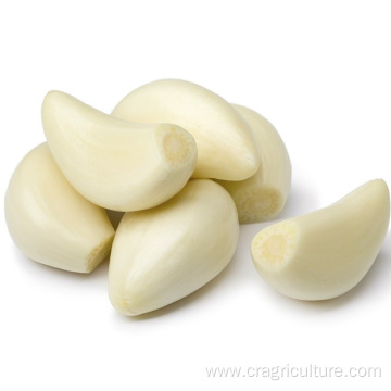 Price of Chinese Preserving Peeled Garlic